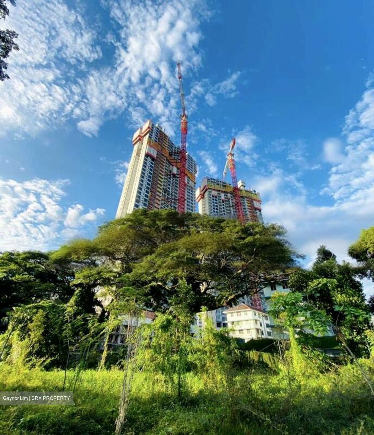 Avenue South Residence (D3), Apartment #457924211